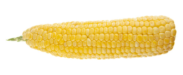 corn isolated on white background