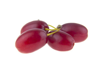 red juicy ripe dogwood isolated on white background