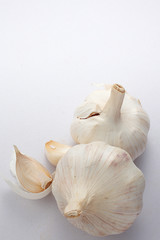 garlic on white background