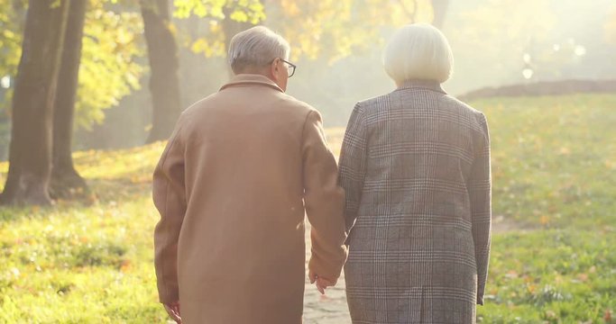Rear of the old Caucasian couple strolling the park slowly in the sunlight at fall. Back view. Outdoors.