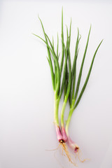 green onions on white background