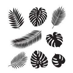Obraz premium Set of tropical leaves. Isolated black silhouettes of leaves on a white background. Sketch, design elements. Vector.