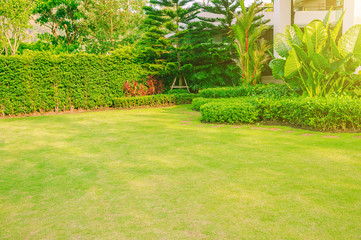 Green lawn, Landscape formal, Front yard is beautifully designed garden., Design background.