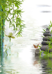 composition aquatique, lotus bambous papillon galets sur fond briques de verre 