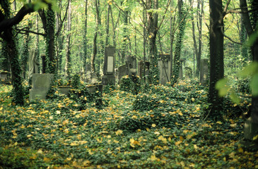 Jewish cemetery, Lodz, Poland