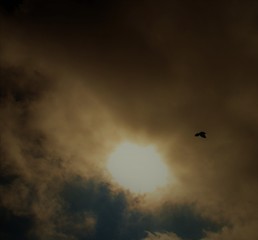 Sky in the Mountains 