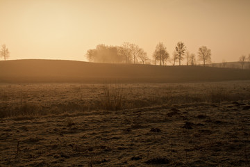 Fototapeta na wymiar Foggy morning landscape. Orange sky.