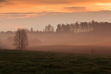 Foggy morning landscape. Sunrise lake.