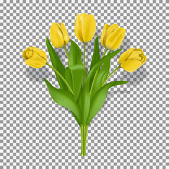 Spring yellow tulip flowers. Realistic bouquet of yellow tulips isolated on transparent background. Vector illustration. Seasonal elements for design greeting cards and holiday banners.
