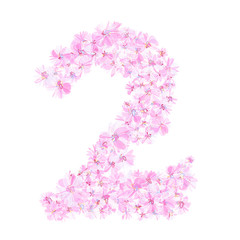 Floral number two 2. Sing of digit two filled with flowers. Pastel violet colors. Isolated fine detailed design element for advertising. 