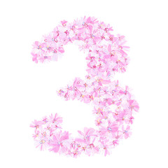 Number three filled with pink flowers. Isolated fine detailed design element for advertising.