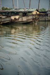 Fototapeta na wymiar Scenery of Taihu fishing village, Suzhou, Jiangsu, China