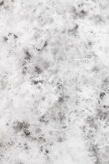 Fototapeta premium White snowflakes on nature as a background