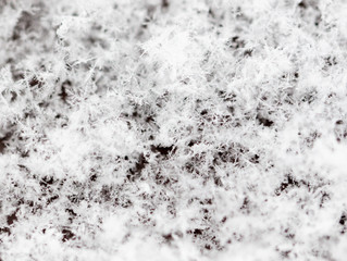 White snowflakes on nature as a background