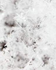 White snowflakes on nature as a background