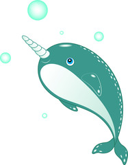 Monodon monoceros, narwhal whale