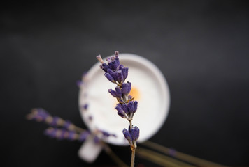 lavender flower with coffee