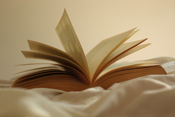 Open old book on a bed.