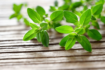 fresh thyme herb on the wooden table