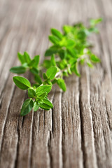fresh thyme herb on the wooden table