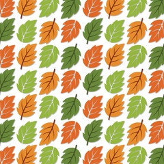 Naklejka na ściany i meble Seamless forest pattern autumn leaves. Fall background. Vector wallpaper - Vector.