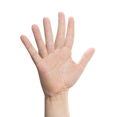Sixfinger hand, isolated on white background