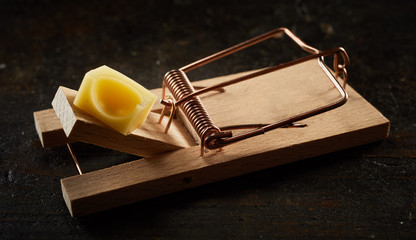 Spring mousetrap with cheese in close-up