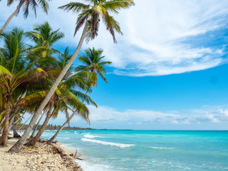 Obraz na płótnie Canvas Beautibul tropical beach Saona, bounty in Punta Cana