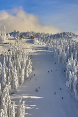 Aerial view over the spectacular ski slopes in the Carpathians mountains, Panoramic view over the ski slope Poiana Brasov ski resort in Transylvania,Romania,Europe,Pine forest covered in snow 