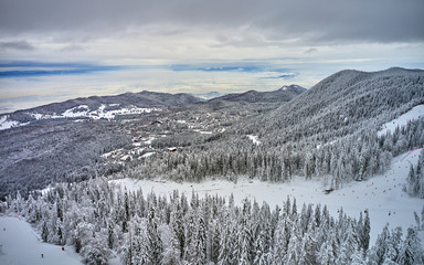 Aerial view over the spectacular ski slopes in the Carpathians mountains, Panoramic view over the ski slope Poiana Brasov ski resort in Transylvania,Romania,Europe,Pine forest covered in snow 