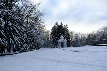 winter in the park