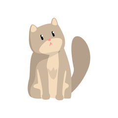 Cute grey cat, funny pet character, furry human friend vector Illustration