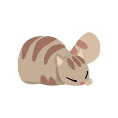 Cute grey striped cat, funny pet character, furry human friend vector Illustration