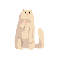 Cute white fluffy cat, funny pet character, furry human friend vector Illustration