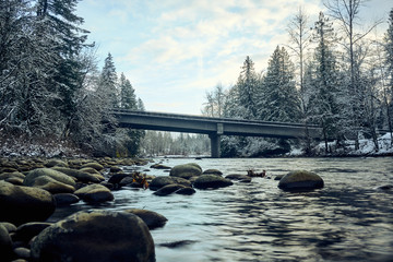 Bridge over River in Winter