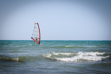windsurfer
