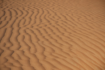 The design of the rippling textured sand dunes background in the beautiful sunshine in the United Arab Emirates.