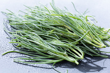 Bunch of Barba di frate (Salsola soda, Saltwort)