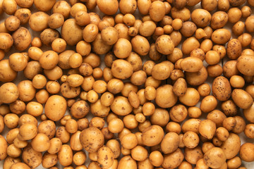 Kartoffeln Hintergrund viele 