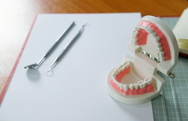 White healthy tooth with Dental model in oral health care concept.