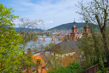 Naklejka premium Blick auf Miltenberg im Odenwald und den Main