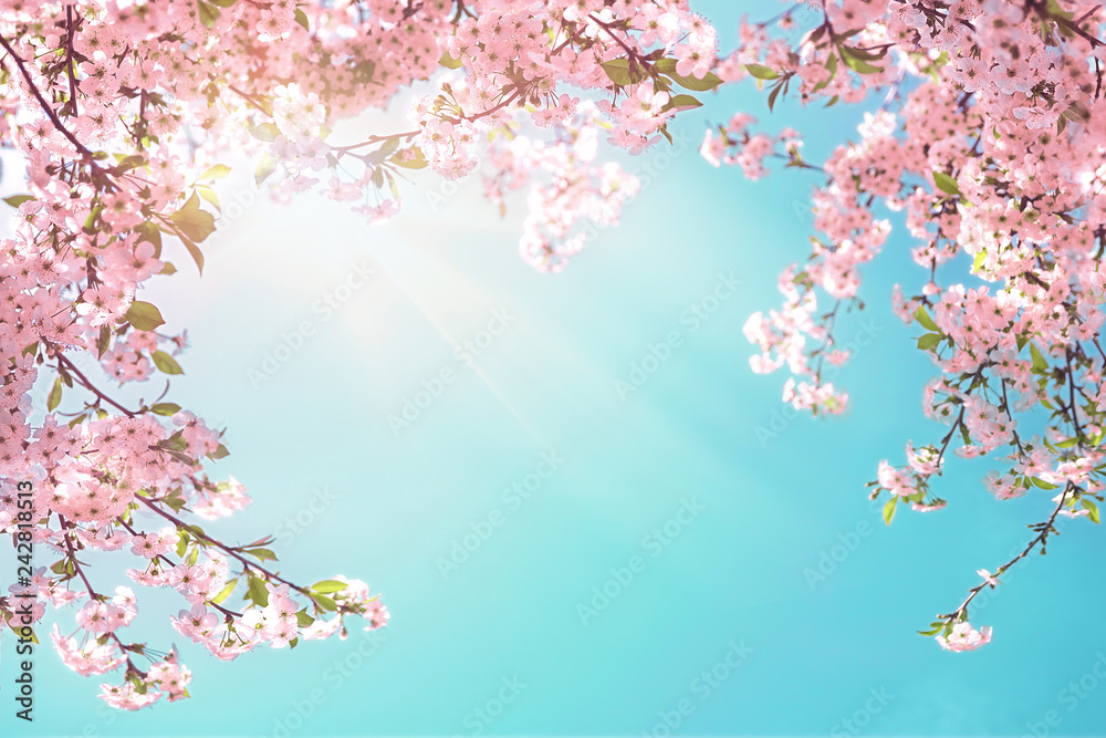 Poster frame of branches of blossoming cherry against background of blue sky and fluttering butterflies in 