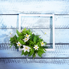 Spring frame and bouquet of fresh white forest flowers primrose in nature and old wooden light blue rustic boards in vintage style, copy space.