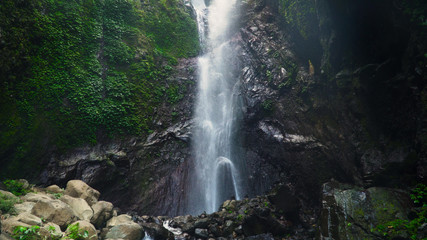 waterfall in green rainforest. tropical waterfall in mountain jungle. Bali,Indonesia. Travel concept.