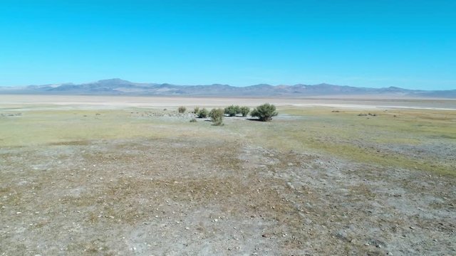 Aerial Forward: Beautiful Vast Land of Black Rock Desert with Bunch of Trees