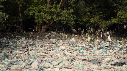 Garbage environmental pollution in mangrove ecological problem in asia. garbage, trash on shore in mangroves, all kinds, plastic bottles, styrofoam, rubber, aluminum and glass cans, java, indonesia