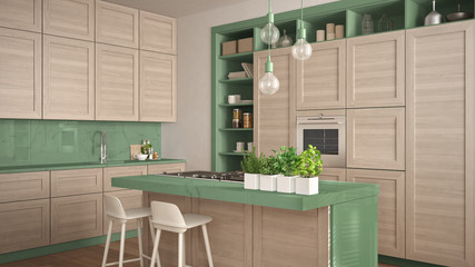Modern green kitchen with wooden details in contemporary luxury apartment with parquet floor, vintage retro interior design, architecture open space living room concept idea