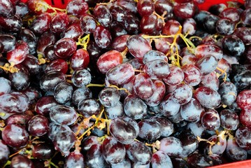 Organic purple grapes at the Farmers Market in Riga, Latvia on the 