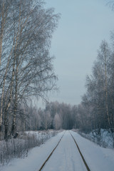 winter railway in the forest