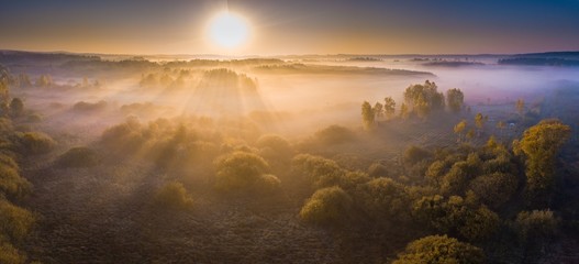 Foggy morning aerial landscape. Forest and meadow at sunrise.